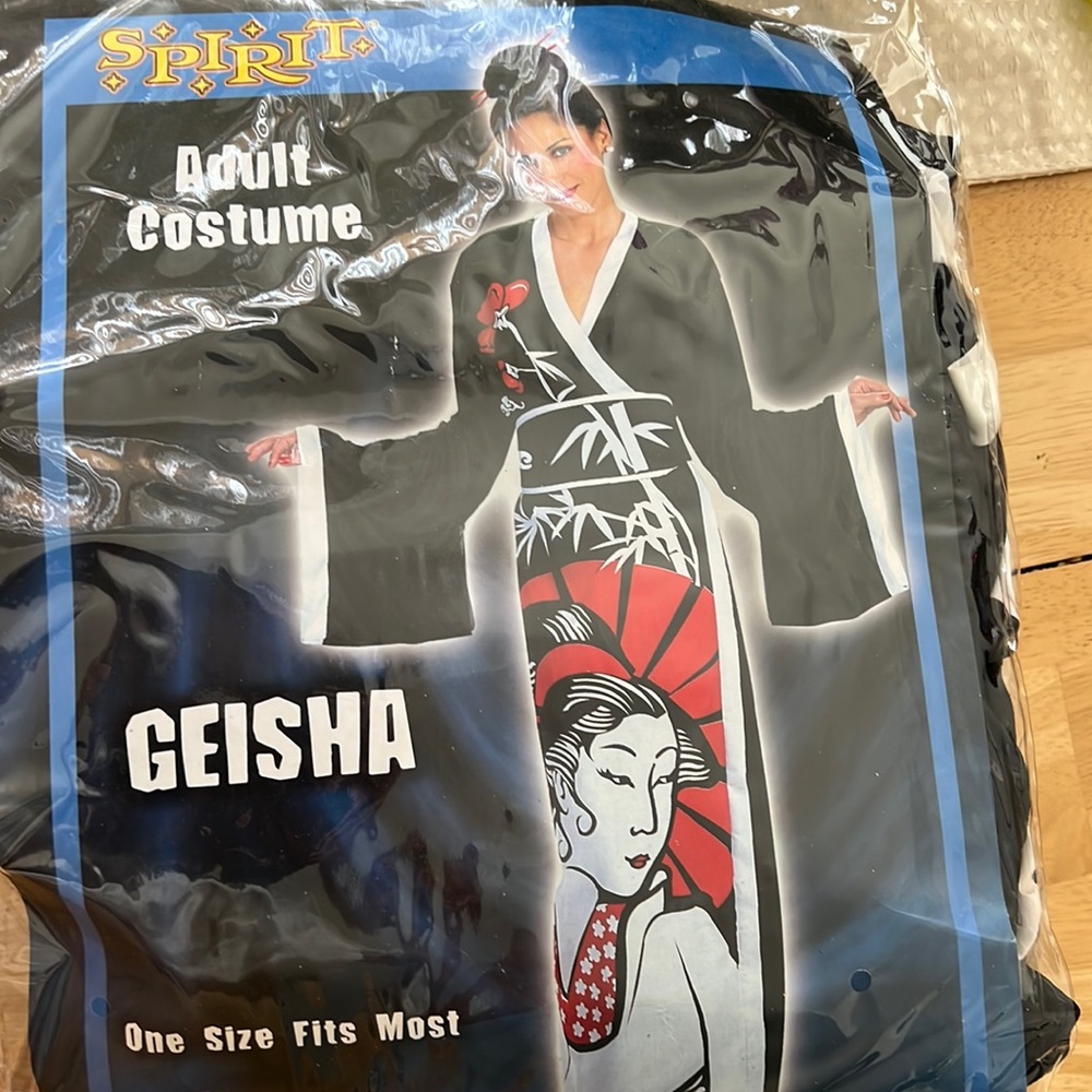 Geisha costume from Spirit